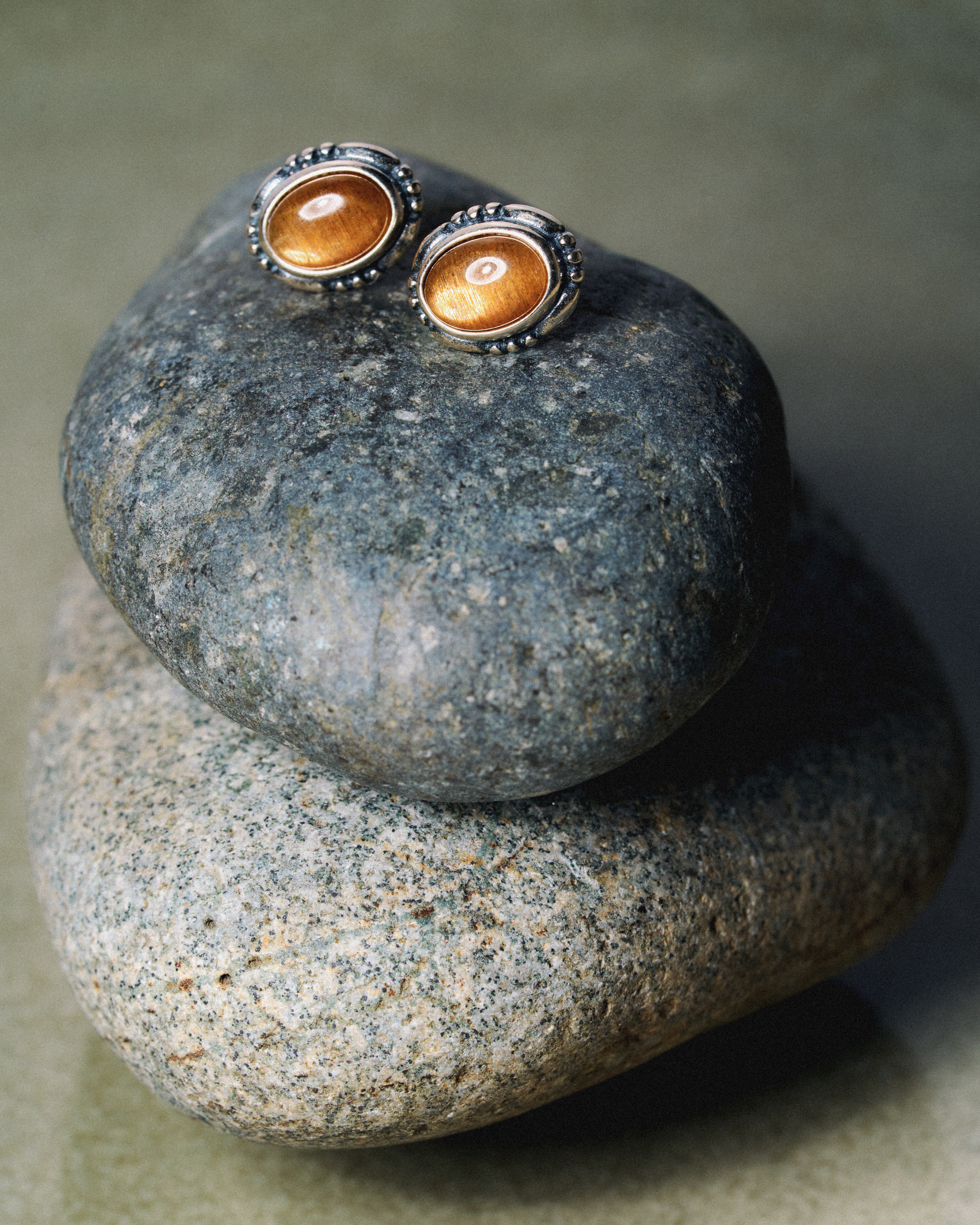 Solar Backbone Earring