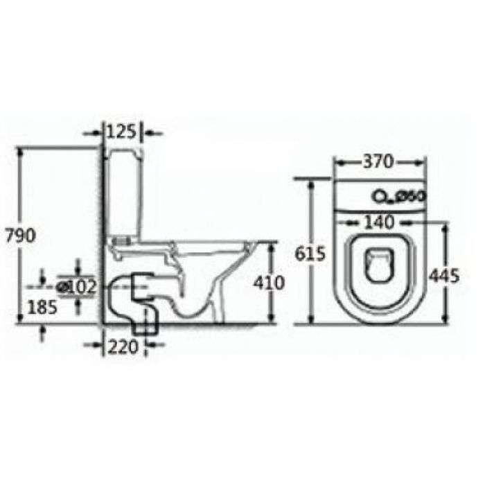 Richford Rimless R620S 感應式納米座廁