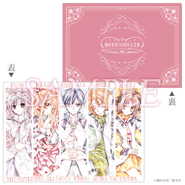 《Pre-Order》A4 Clear File｜種村有菜 30周年記念展商品 (26032-P)