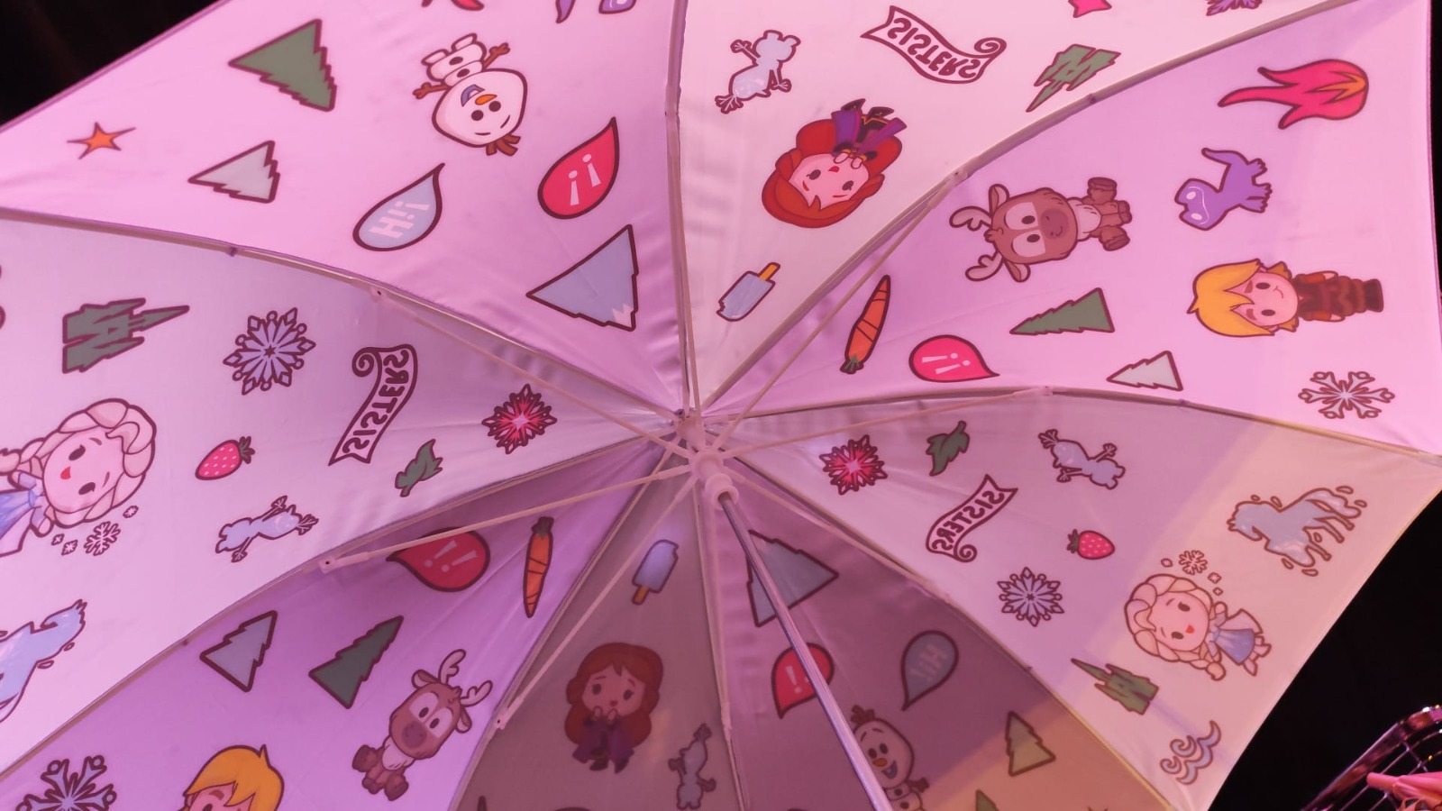Disney特賣會🈹雨傘