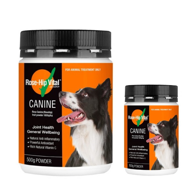 【套裝優惠】澳洲 Rose-Hip Vital Canine  犬用玫瑰果籽關節粉
