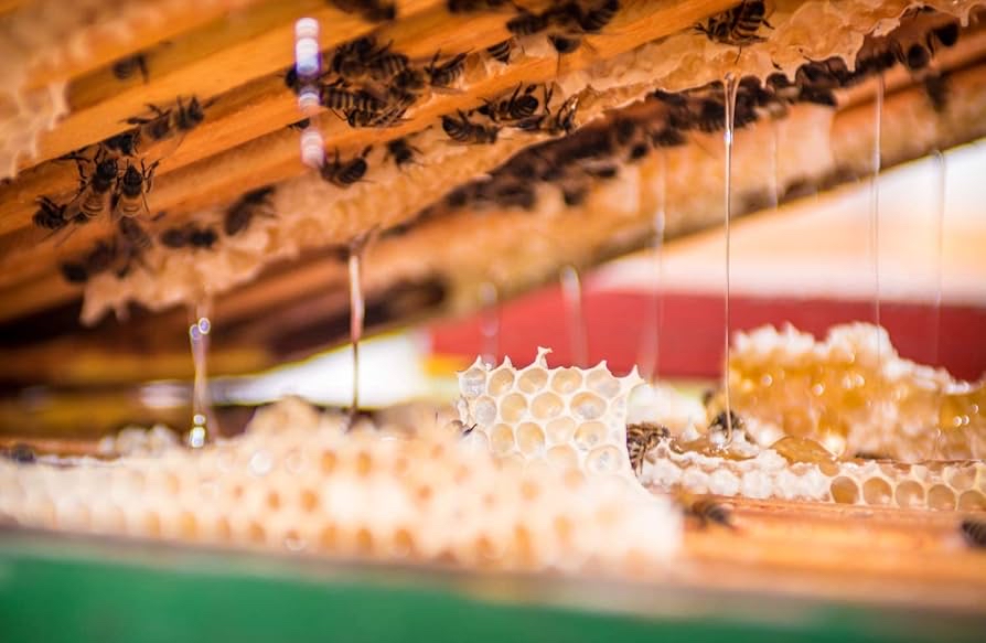 加拿大直送  Wendell Estate Canada’s No1 White Creamed Honey 1 kg