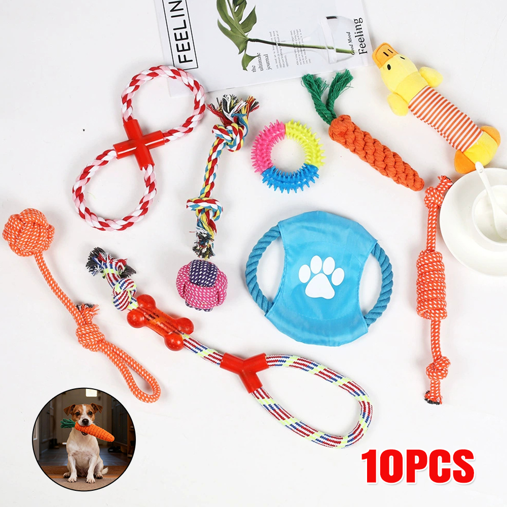 狗狗咬繩磨牙玩具 10件套 顏色款式隨機 UB0257