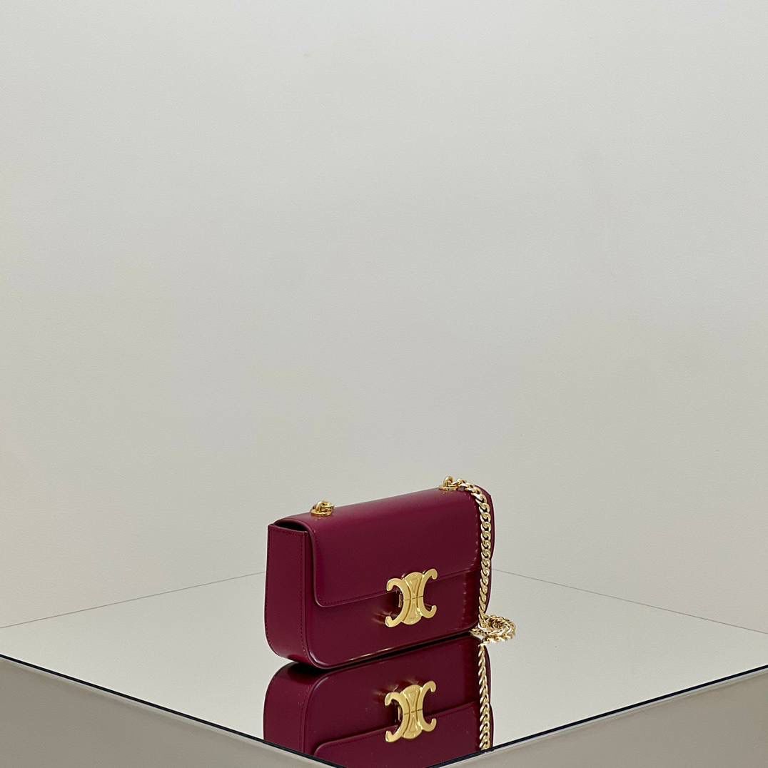 🔥大货实拍图 𝗖𝗘𝗟𝗜𝗡𝗘 ♥ 𝗧𝗥𝗜𝗢𝗠𝗣𝗛𝗘链条腋下包 型号：197993 尺寸：20.5*11.5*4cm