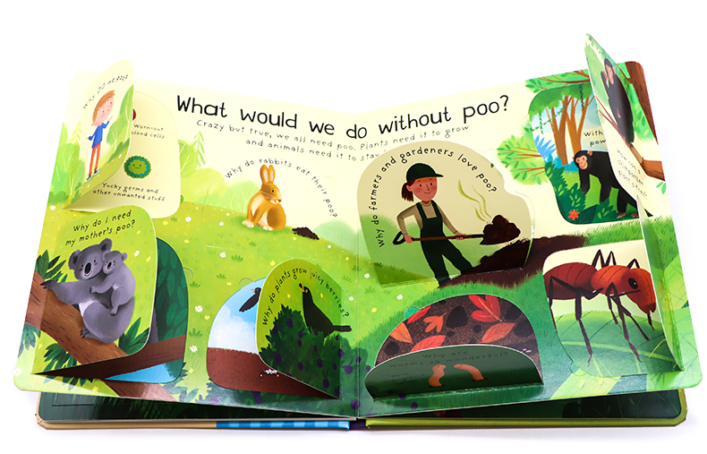 Usborne First Questions and Answers系列翻翻書 Where Does Poo Go便便去哪裡了