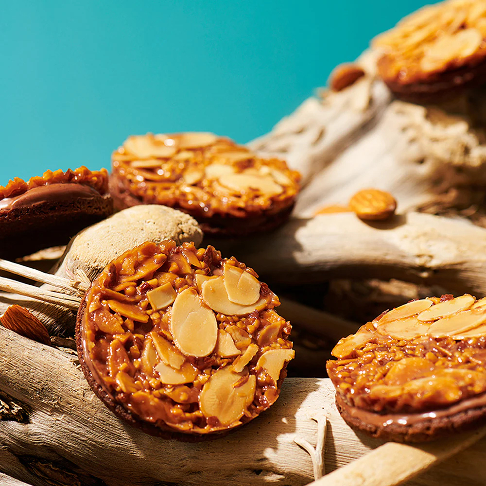 日本直送 日本Caica佛羅倫斯巧克力夾心餅乾 