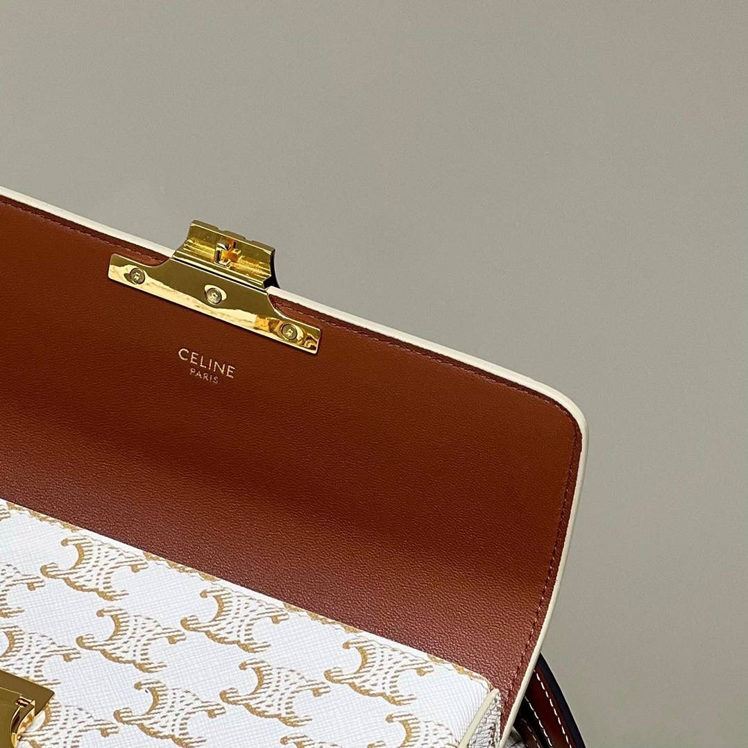 🔥大货实拍图 𝗖𝗘𝗟𝗜𝗡𝗘 ♥ 𝗧𝗥𝗜𝗢𝗠𝗣𝗛𝗘 𝗦𝗛𝗢𝗨𝗟𝗗𝗘𝗥 𝗕𝗔𝗚 型号：194142 尺寸：20*10*4cm