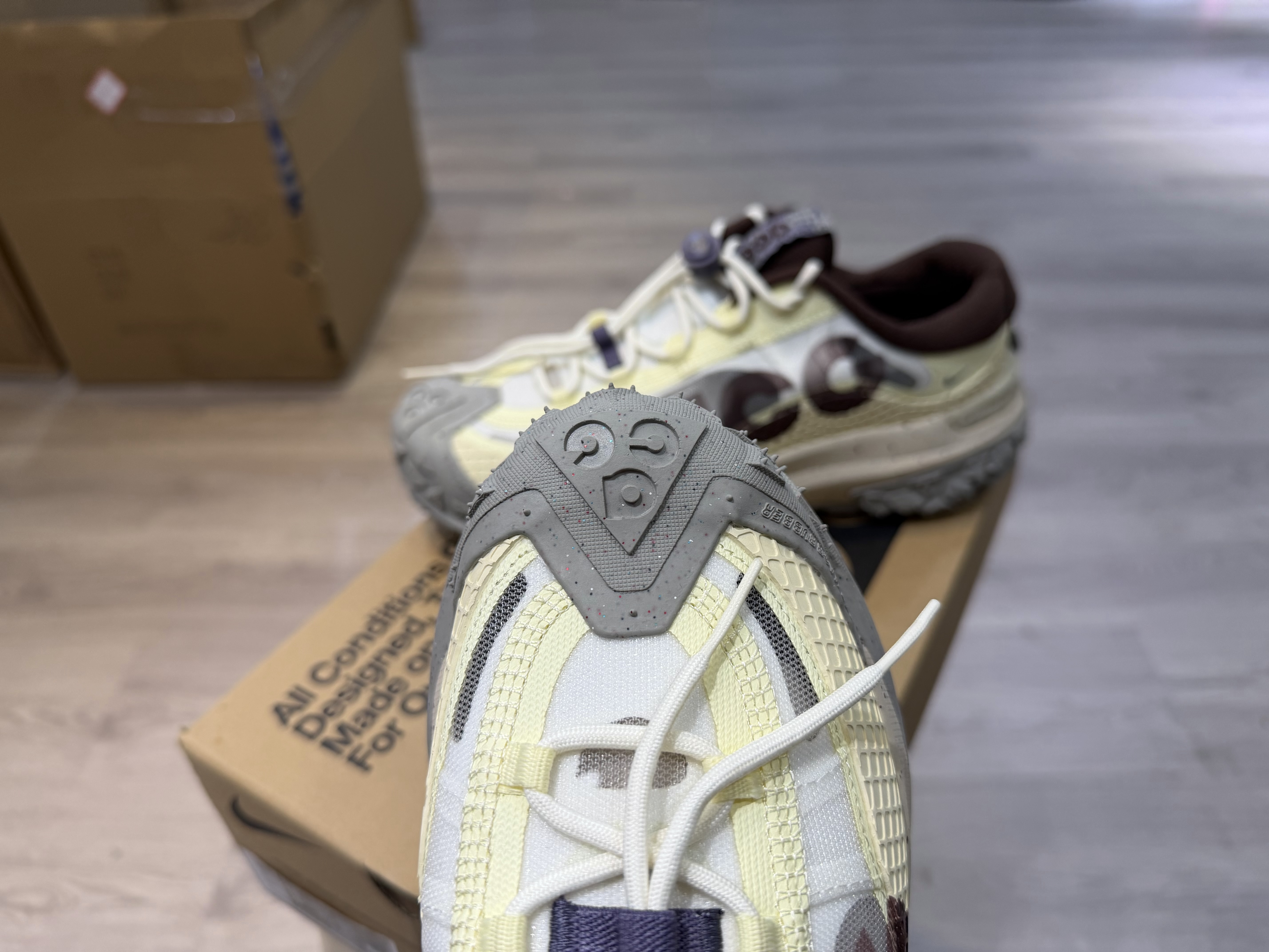 Nike ACG Mountain Fly 2 Low