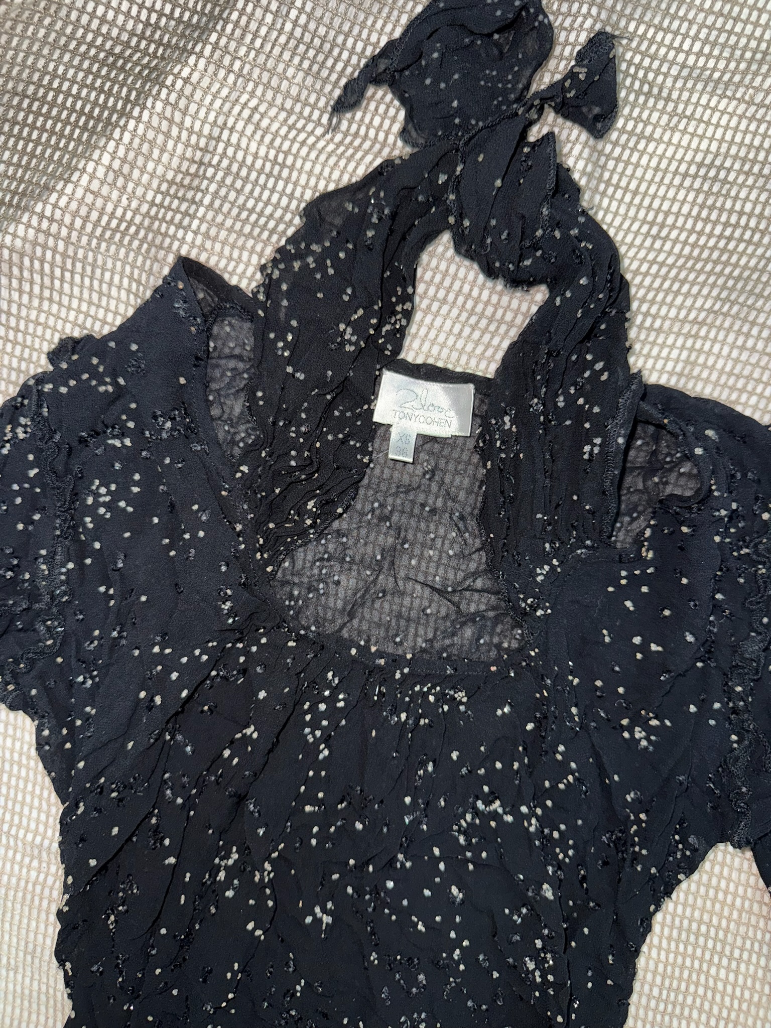 Sparkling Speckled Mesh Ruffle Blouse