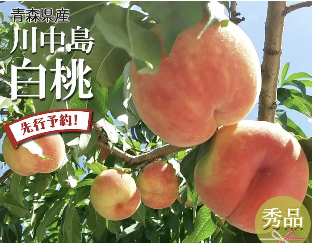 日本青森/山形縣產 川中島白桃｜秀級・12/13玉 $780