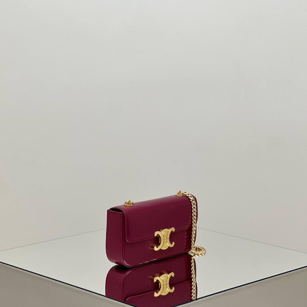 🔥大货实拍图 𝗖𝗘𝗟𝗜𝗡𝗘 ♥ 𝗧𝗥𝗜𝗢𝗠𝗣𝗛𝗘链条腋下包 型号：197993 尺寸：20.5*11.5*4cm