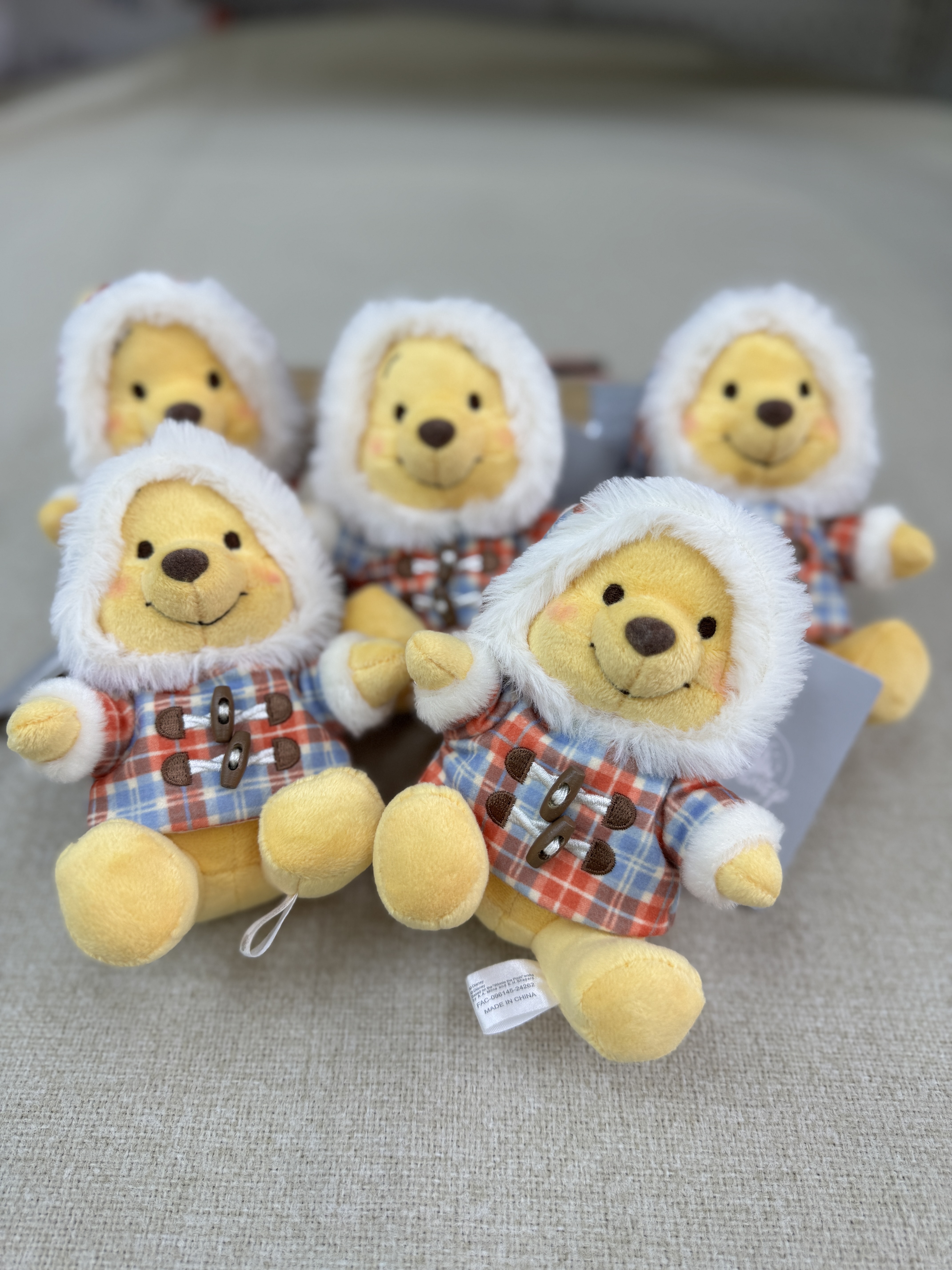 [現貨] [JDS] 冬季款 ｜ POOH ｜ 吊飾 {TF2411007}