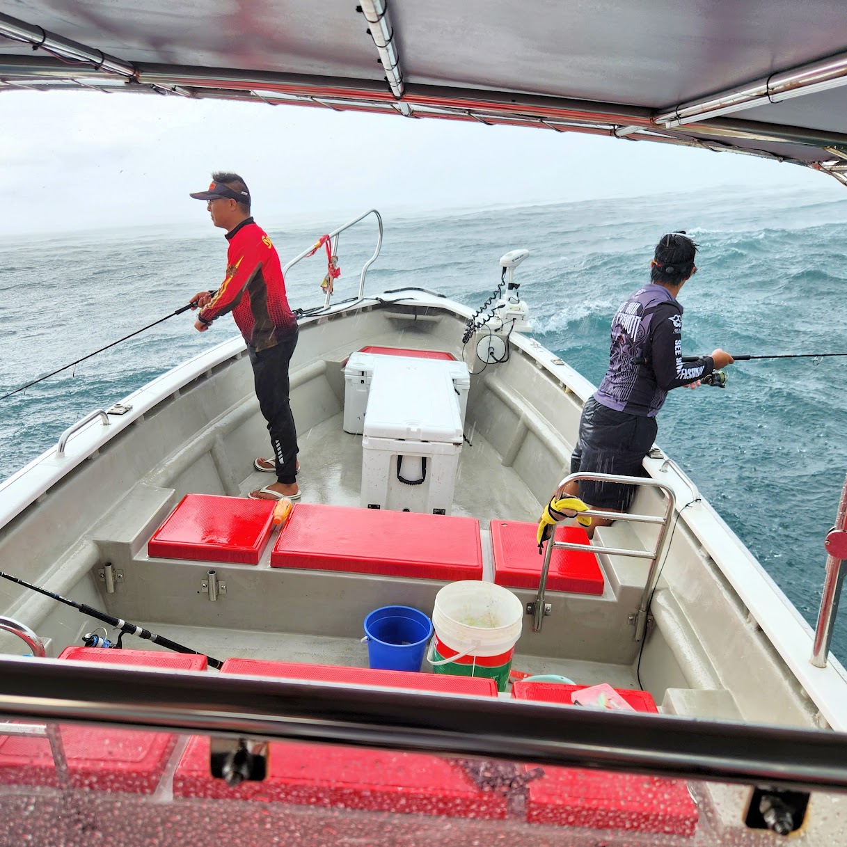 Image 2