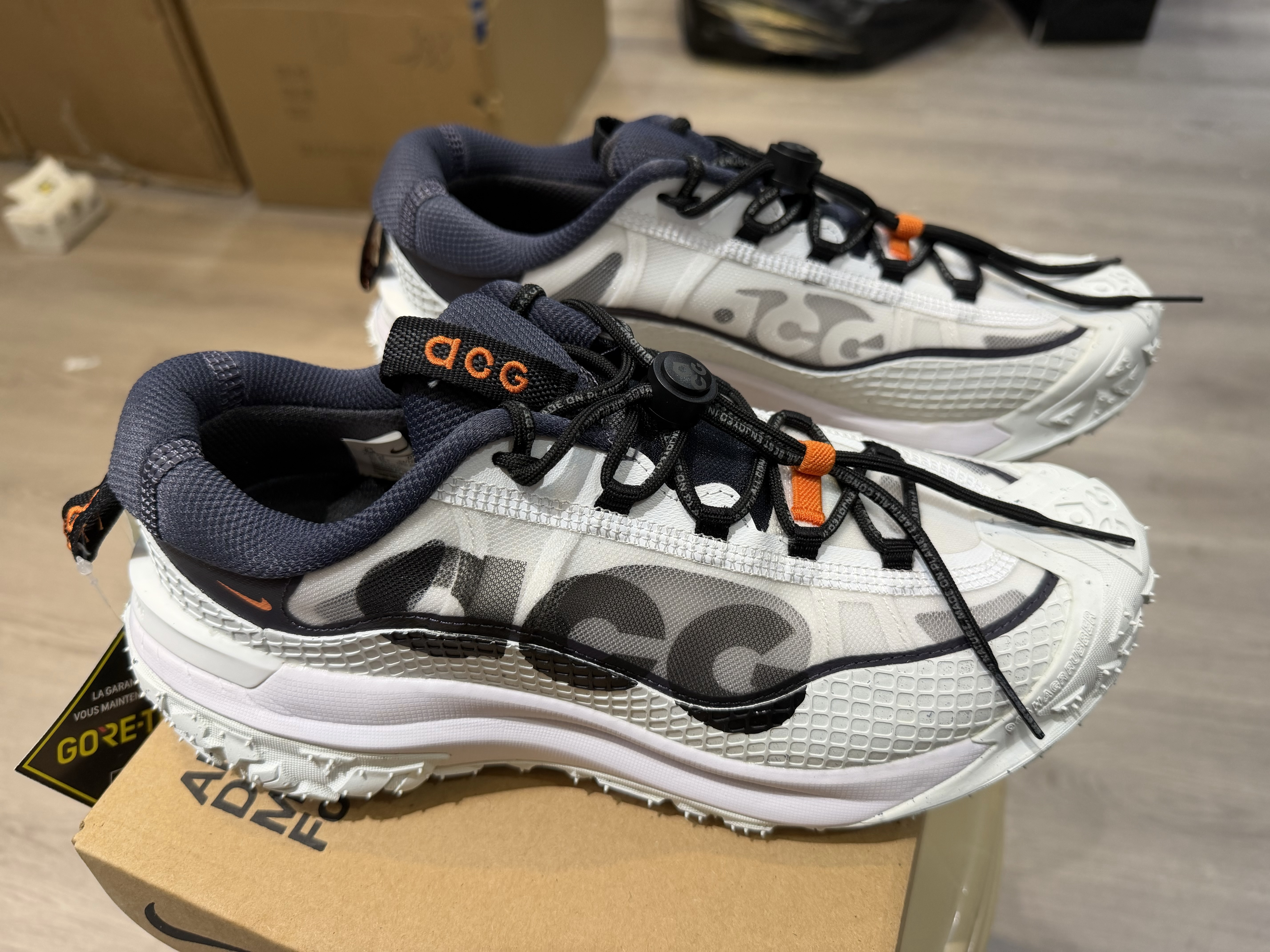 Nike ACG Mountain Fly 2 Low