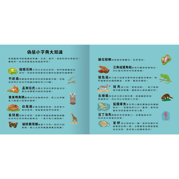 登登登！透光Show動物的偽裝術！