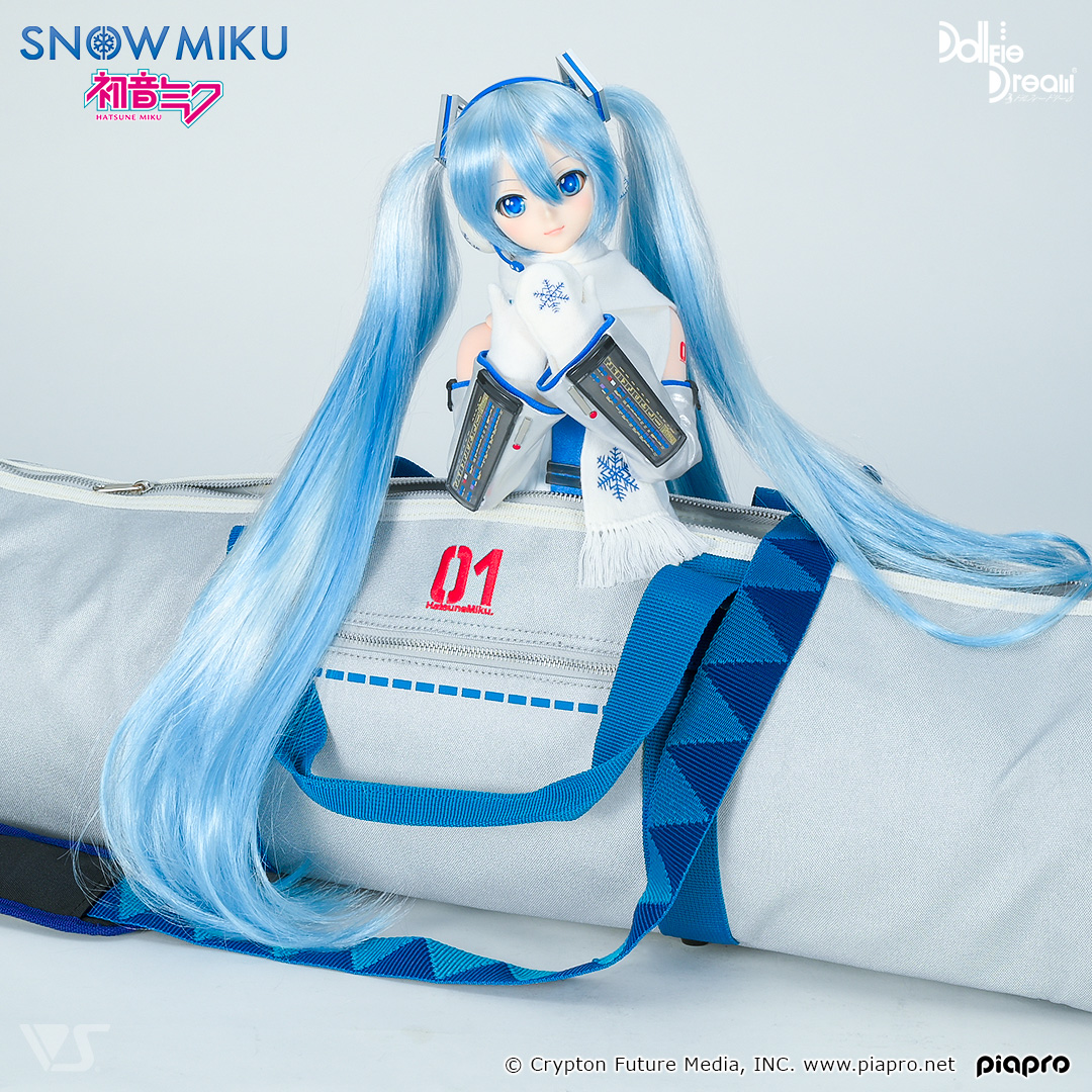 DD Snow Miku Carrying Case