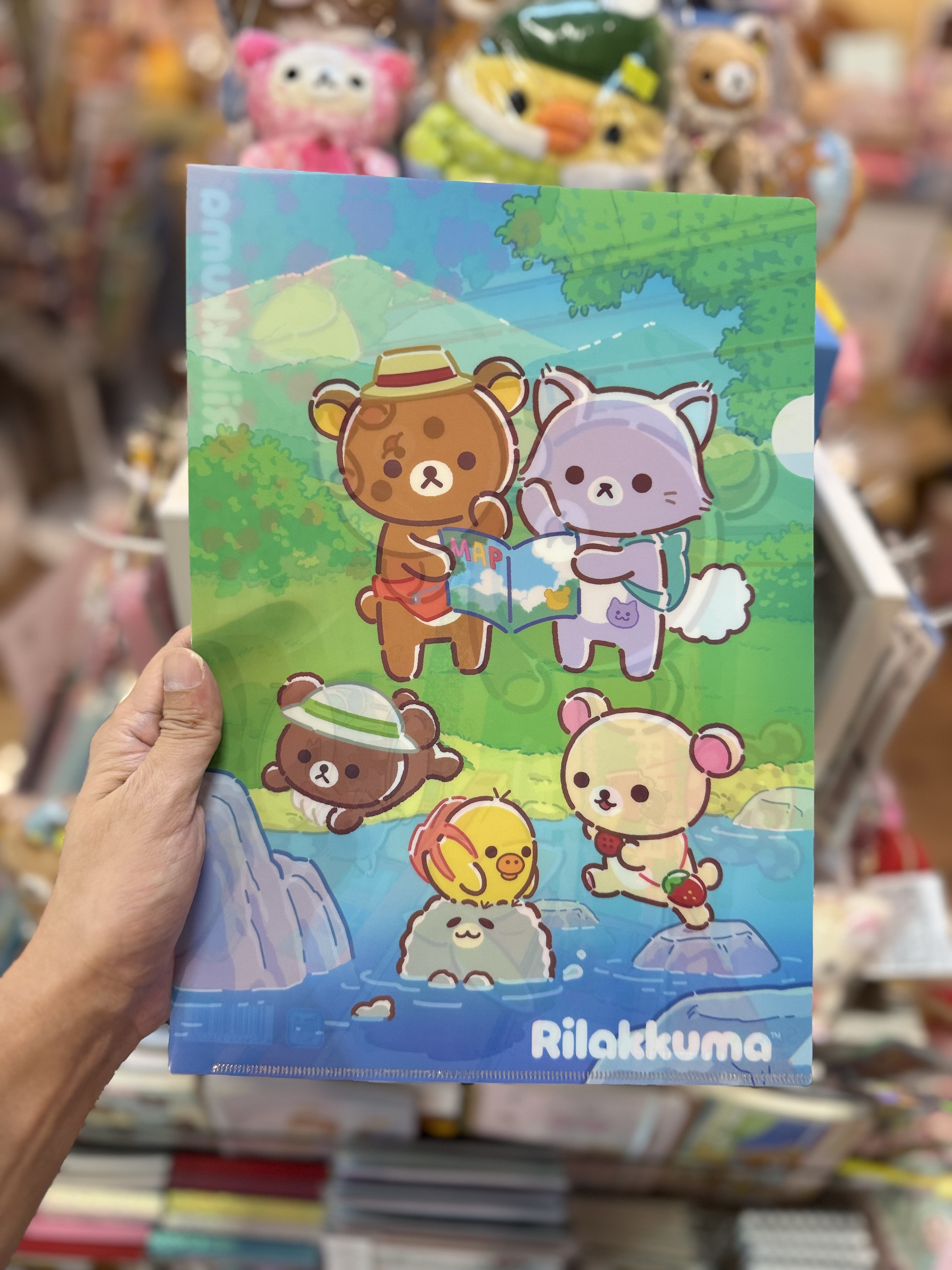《現貨》全新Rilakkuma瓦瓦貓系列A4 file
