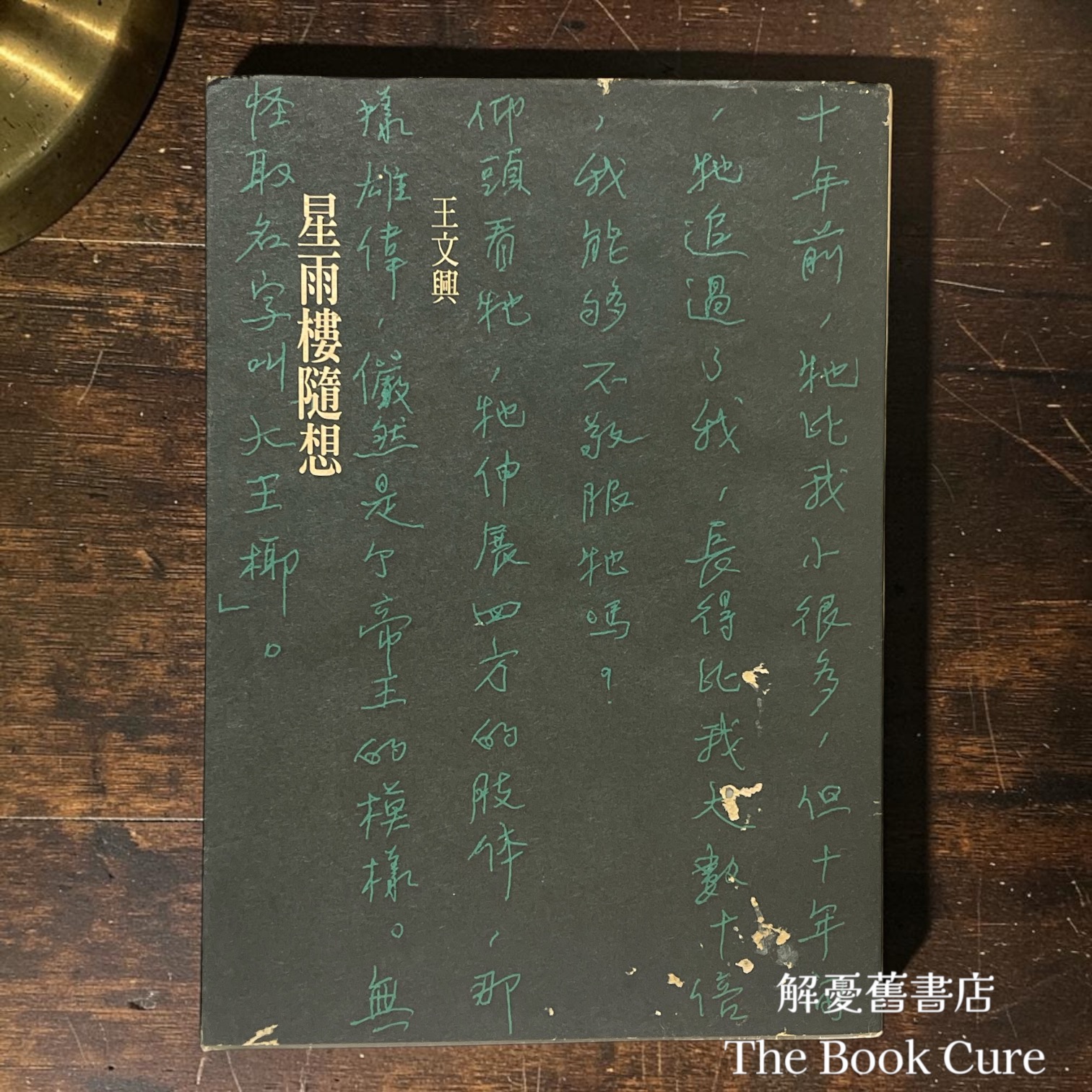 星雨樓隨想 / 王文興 著