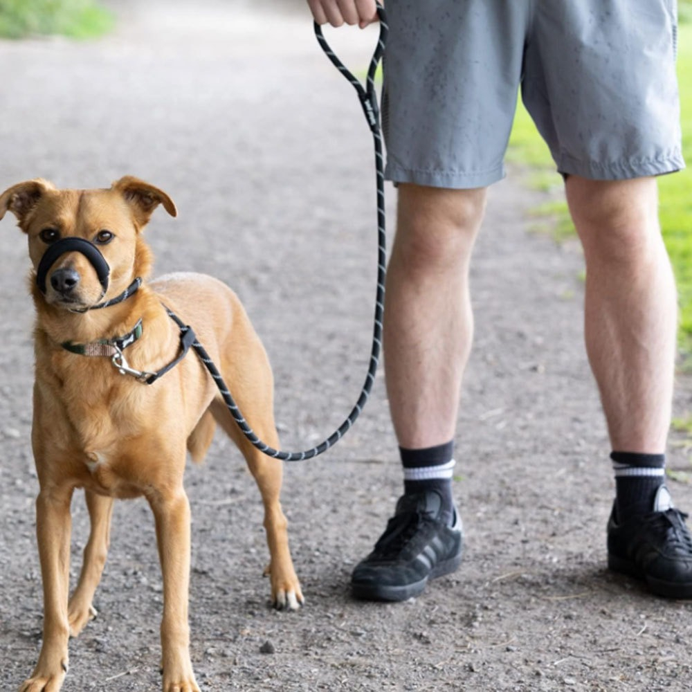 一體式狗嘴套牽引繩 200*1.0CM 黑色 UB0272