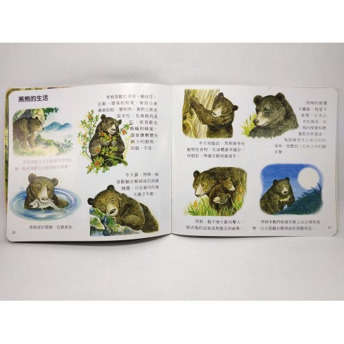 峰芸 我的動物百科故事4本 點讀書