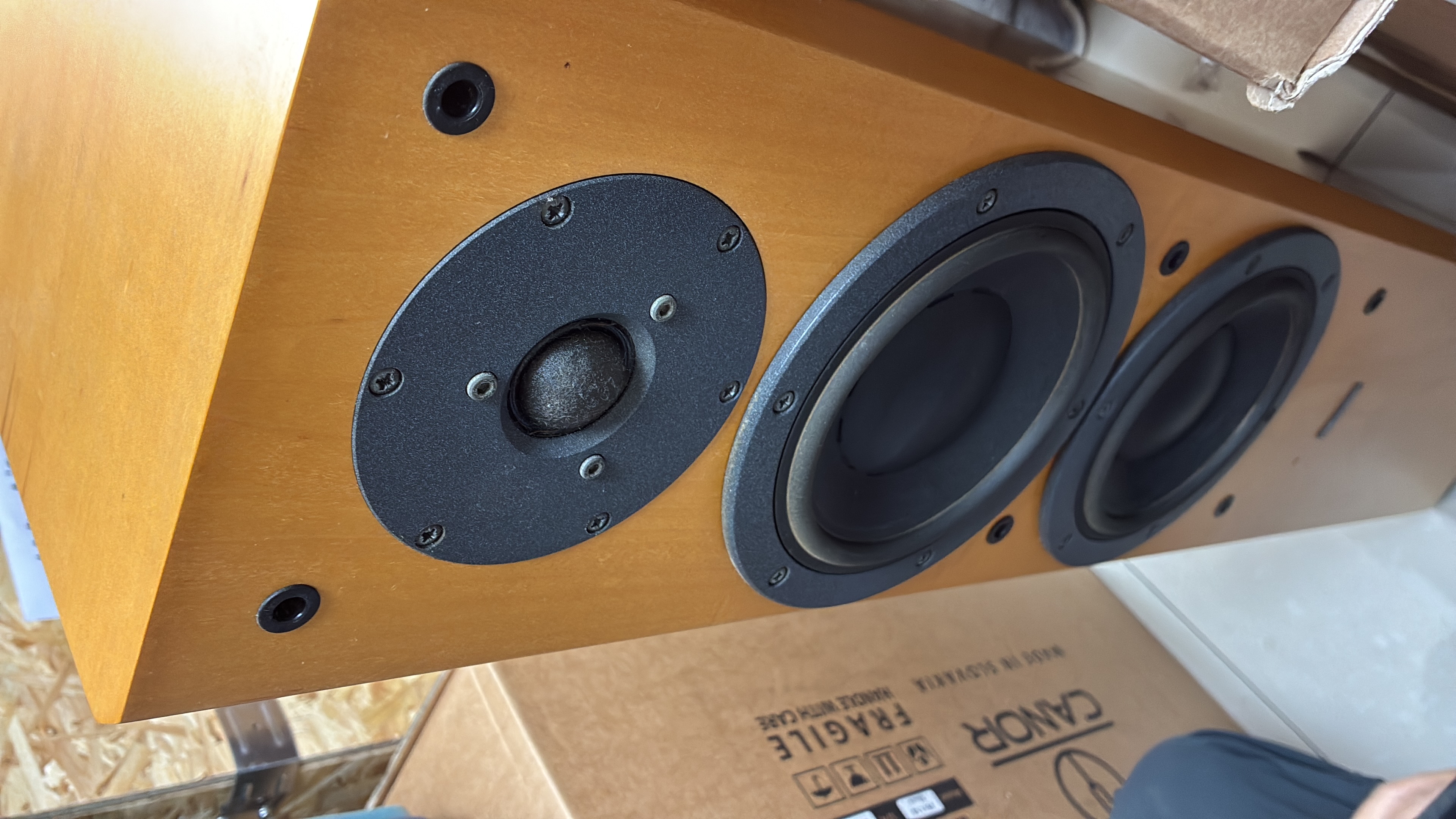 Dyna audio focus 220 (使用品）
