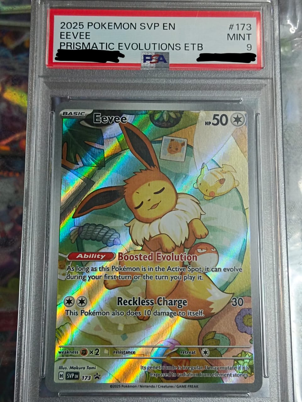 Pokemon TCG English Version - Eevee-173 (PSA9)
