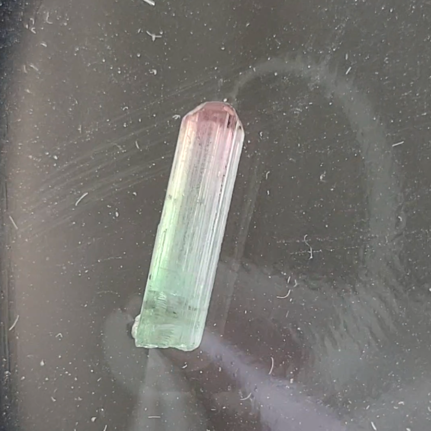 Bi-color tourmaline specimen from Afghanistan - TR48