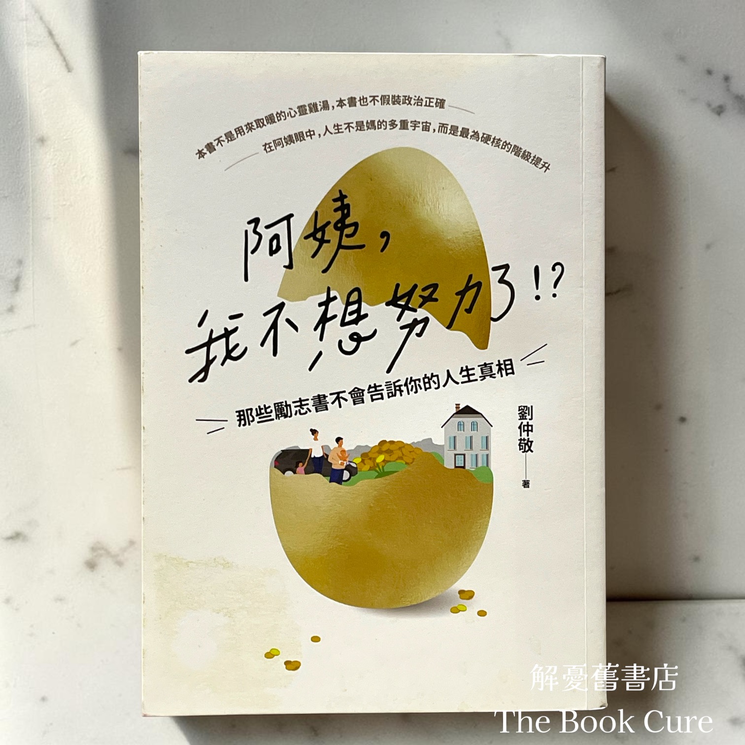 阿姨，我不想努力了！？——那些勵志書不會告訴你的人生真相 / 劉仲敬 著