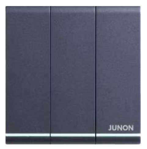 俊朗 天悅 黑 3位雙控 開關掣