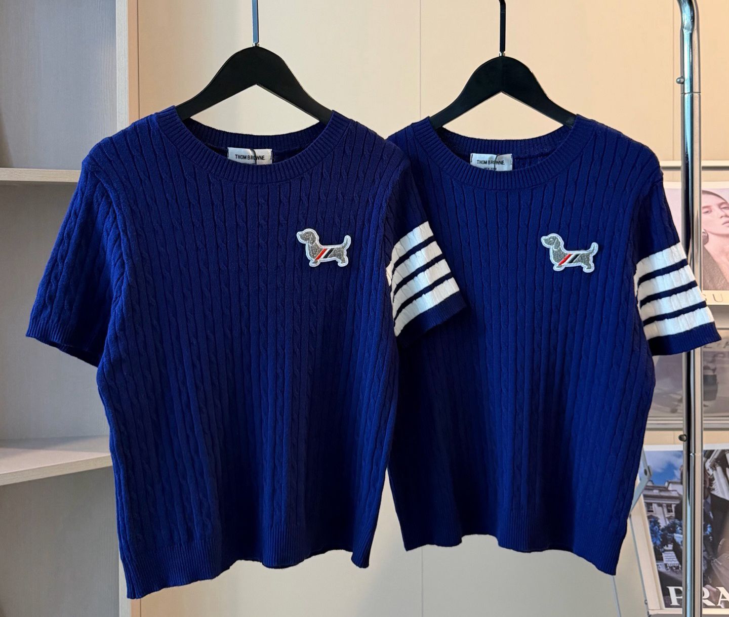 TB新款狗仔藏青針織短袖衫