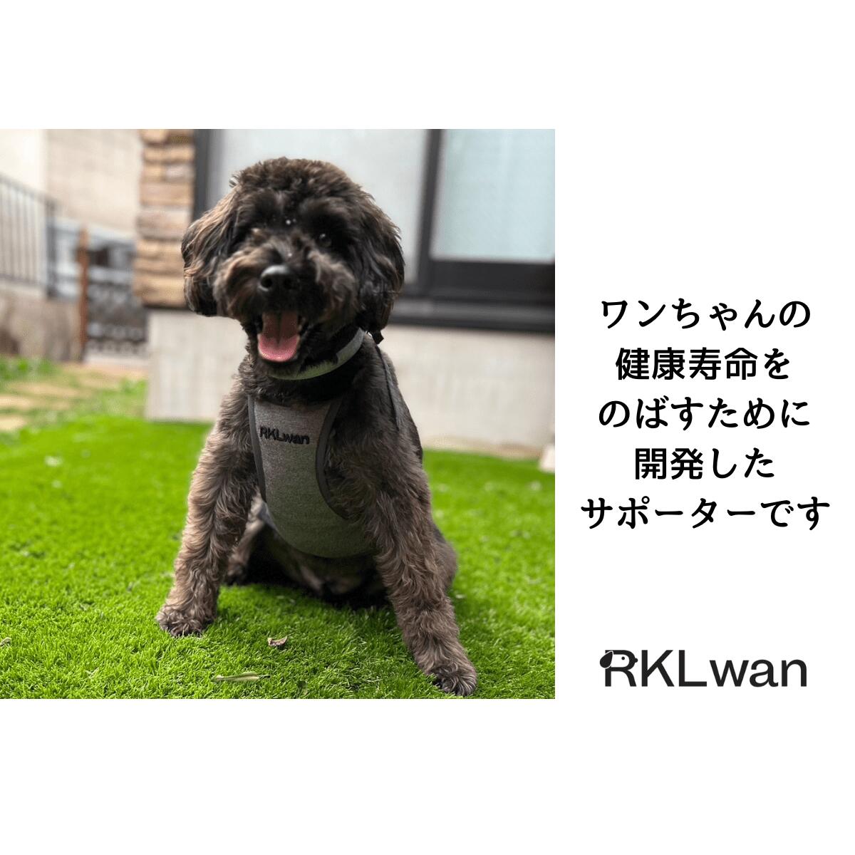 日本 RKLwan 狗狗 促進血液循環 延長壽命護理輔助用品 SPAORE成分 平行進口