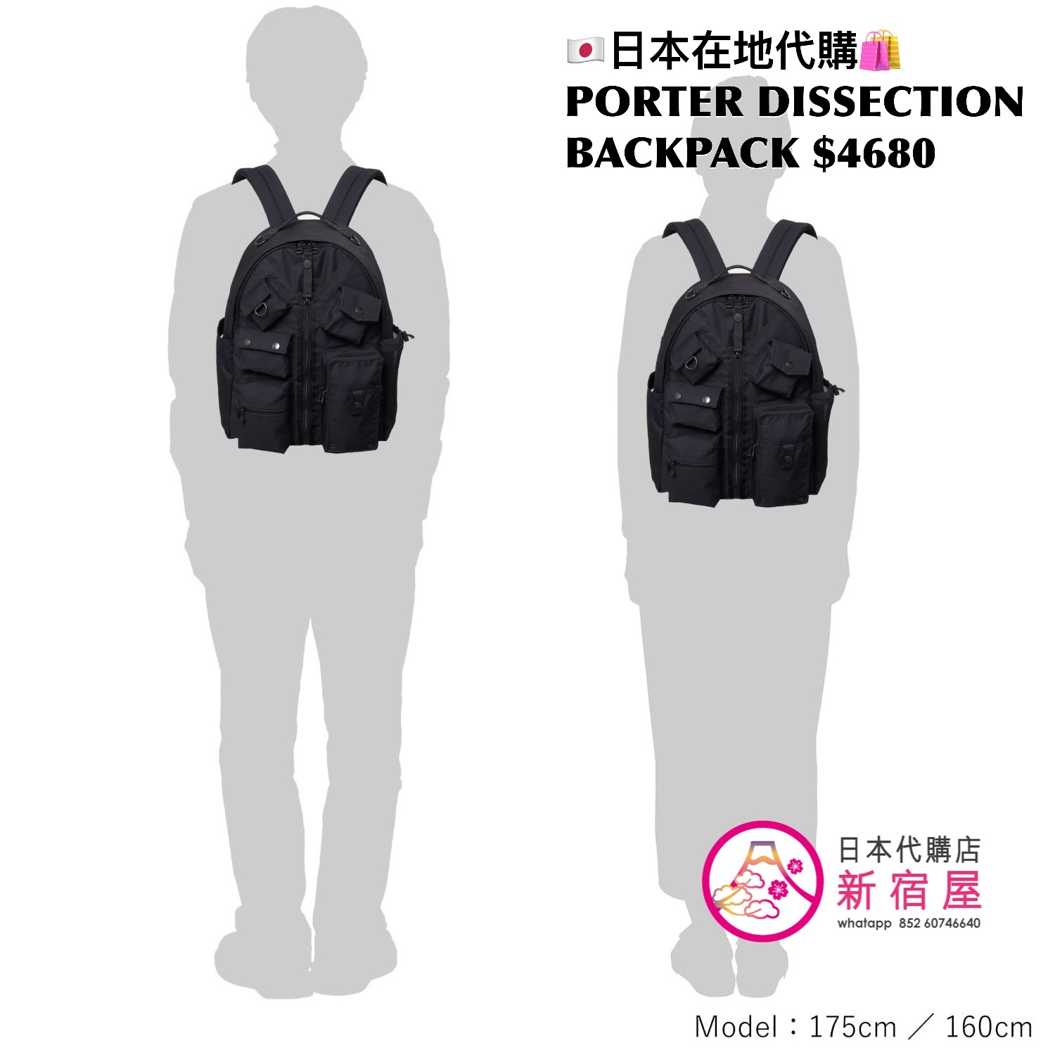 PORTER DISSECTION BACKPACK