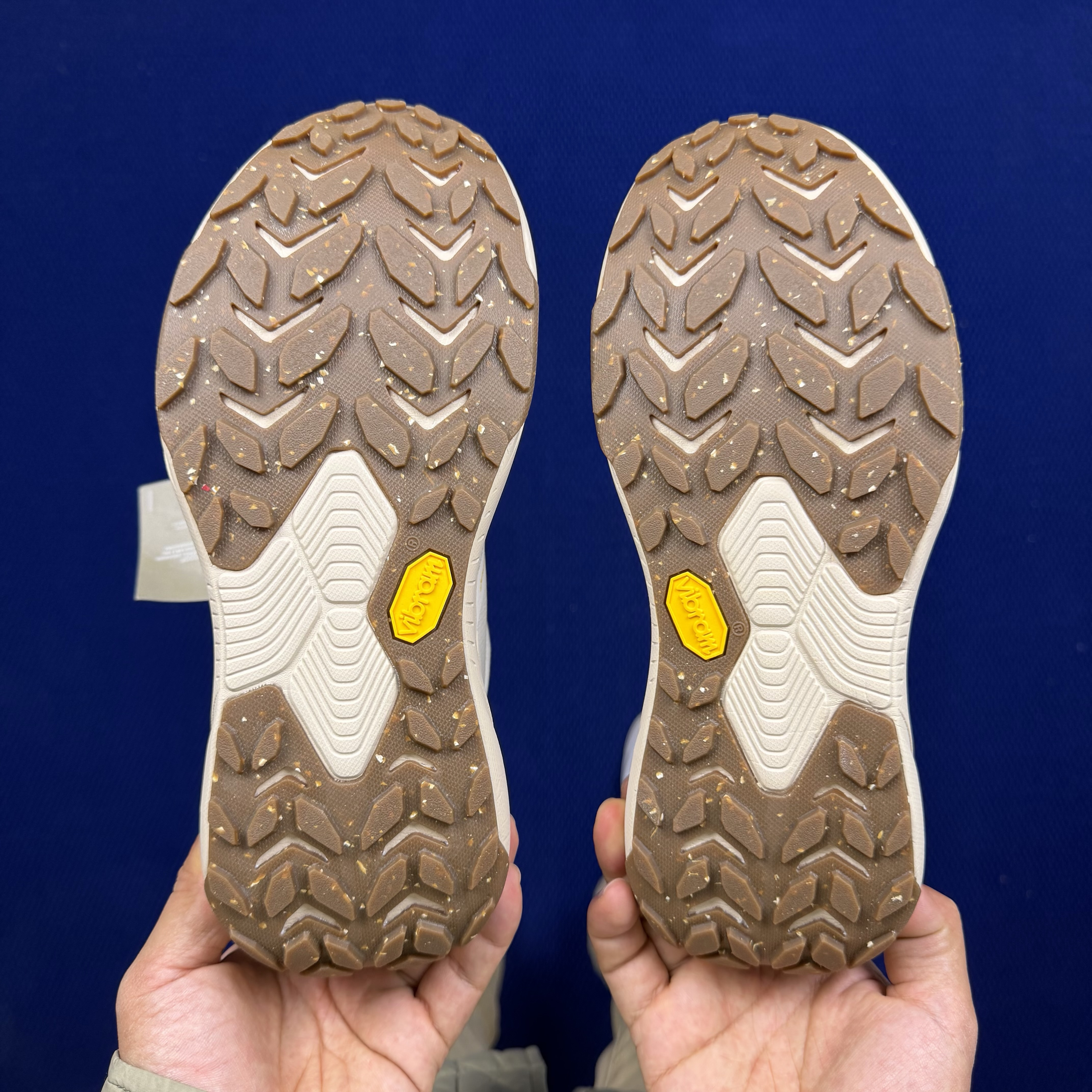 Hoka One One Transport GTX