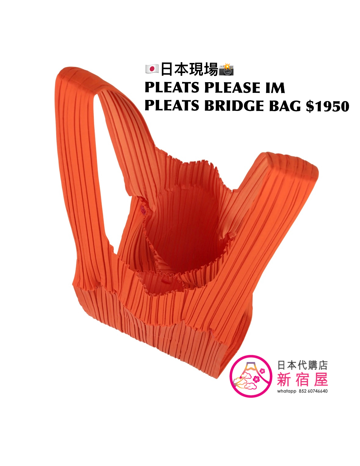 PLEATS PLEASE ISSEY MIYAKE PLEATS BRIDGE BAG