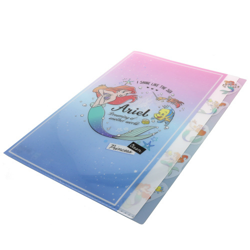 ARIEL 5分頁文件夾 (S2123649)