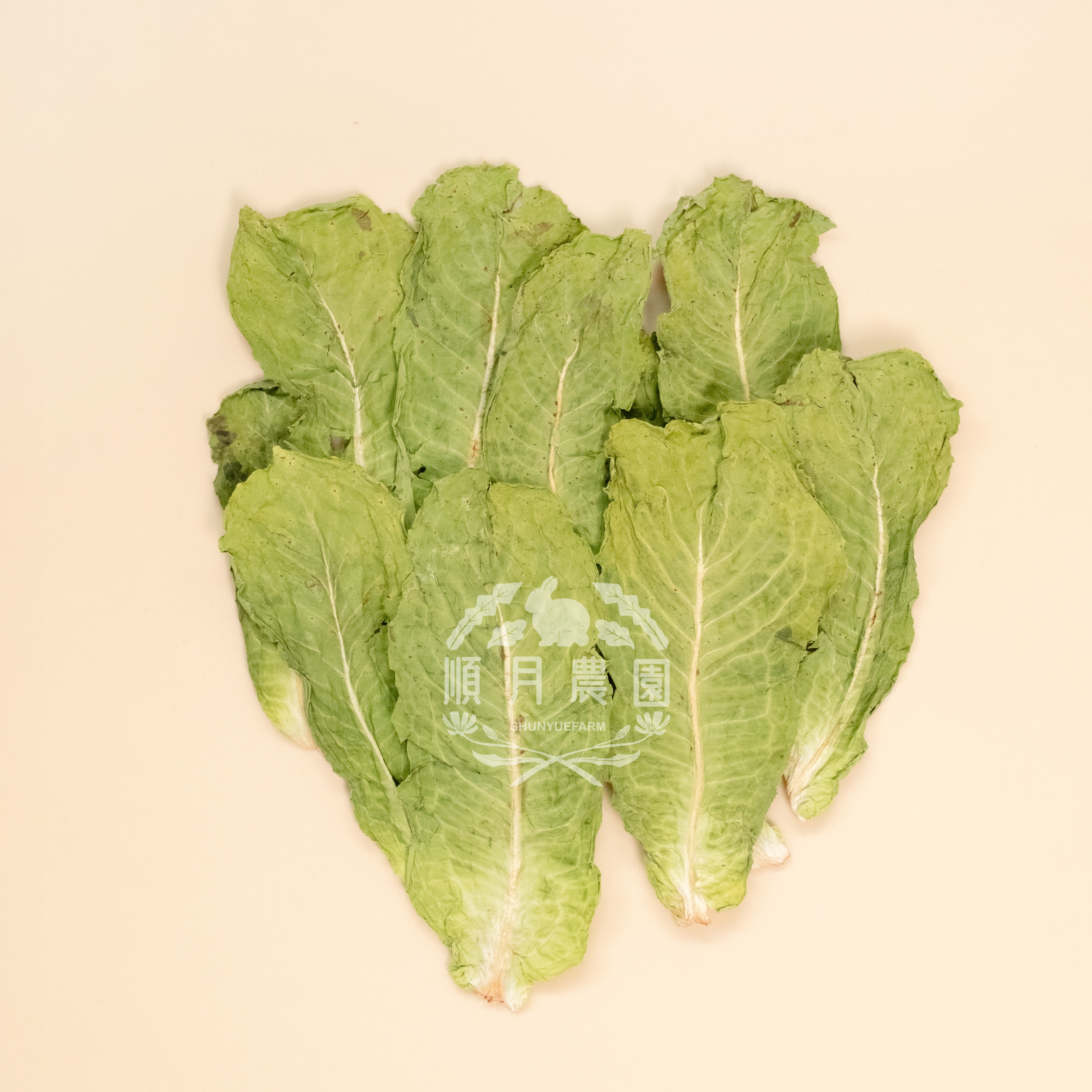 台灣順月農園 拔葉萵苣 / 韓國生菜