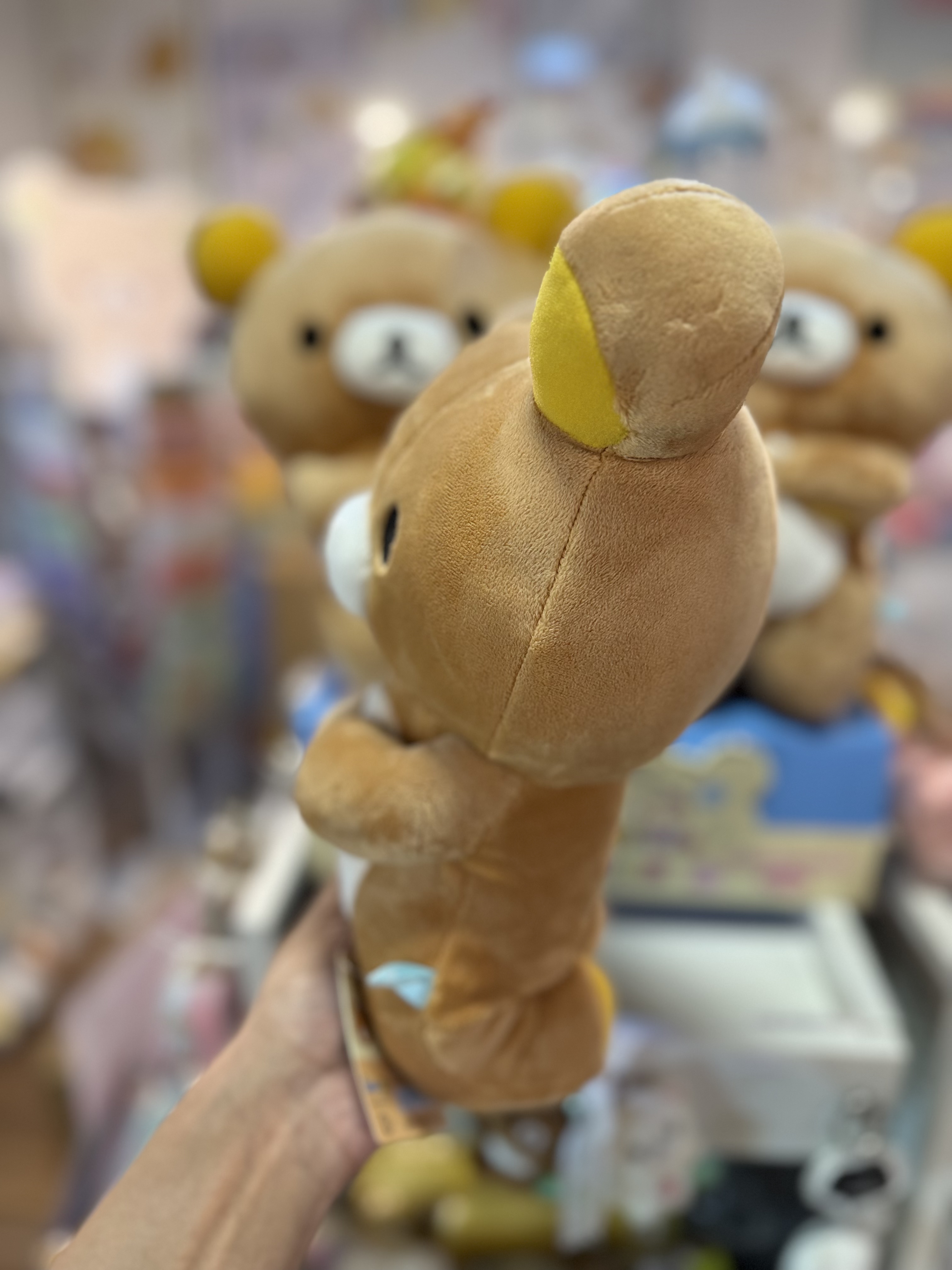 《現貨》全新Rilakkuma瓦瓦貓系列跪地公仔