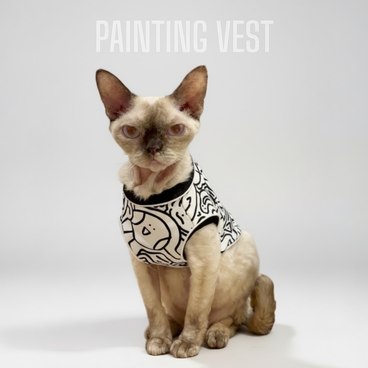 S651   黑白繪畫背心 black and white painting vest