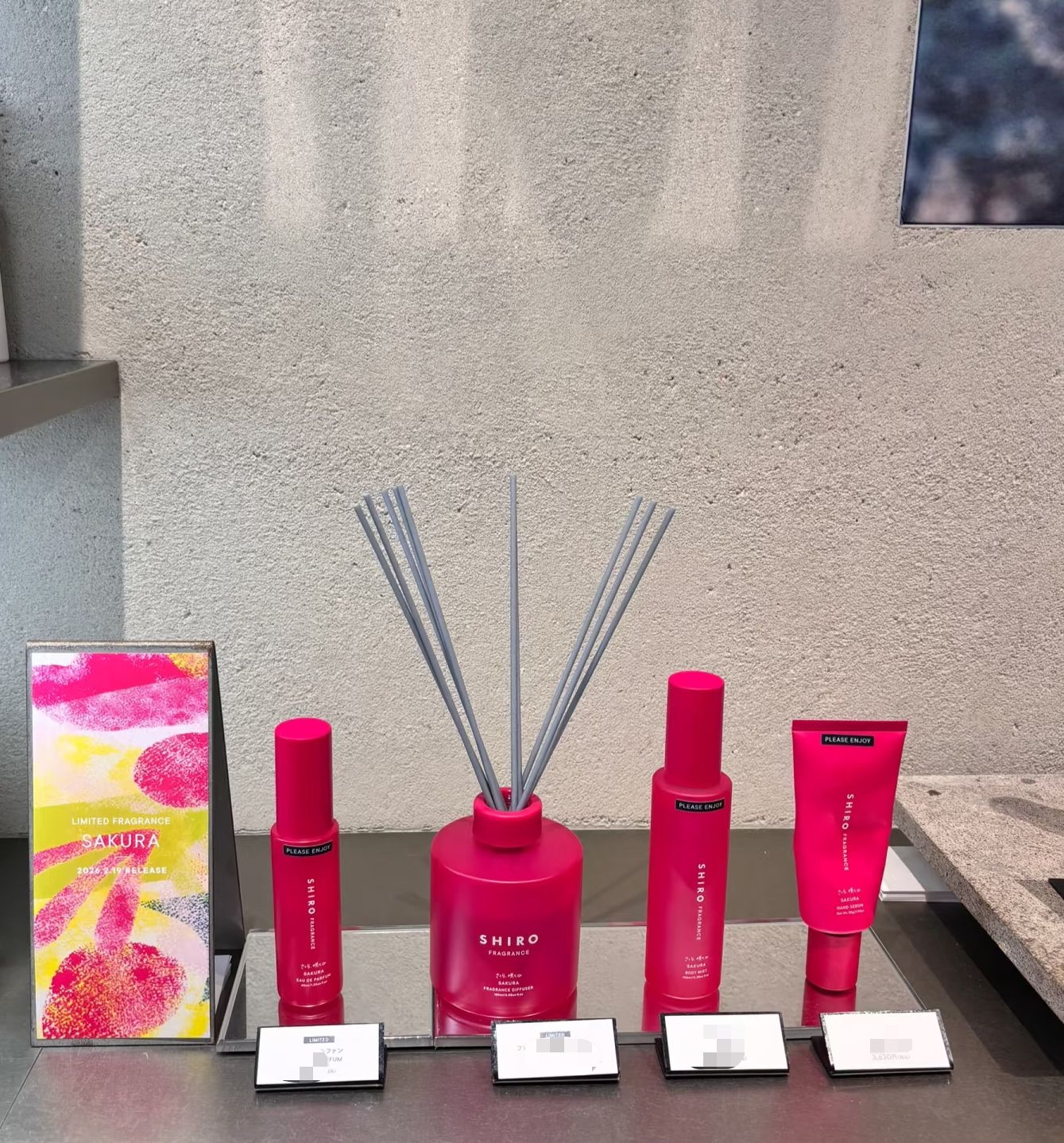 三月連線 - 日本 Shiro SAKURA 櫻花系列 2026