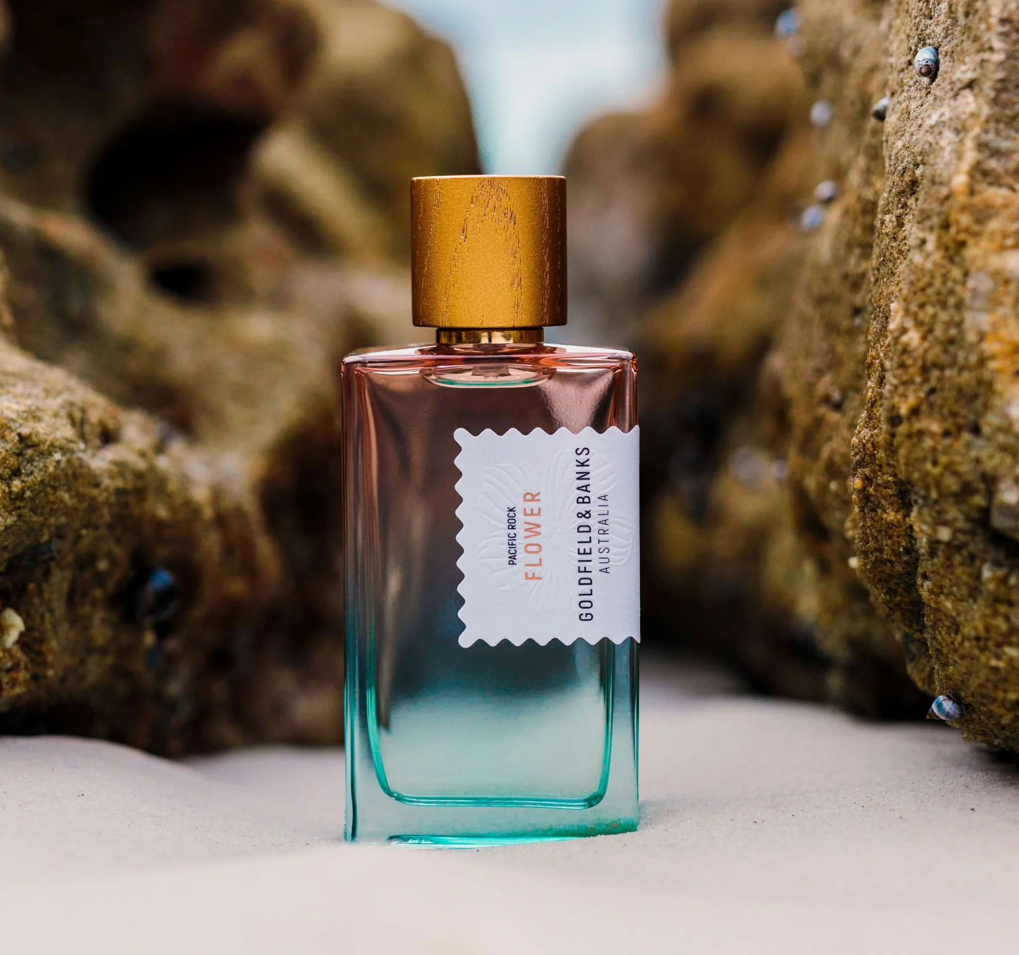 Pacific Rock Flower - Goldfield & Banks