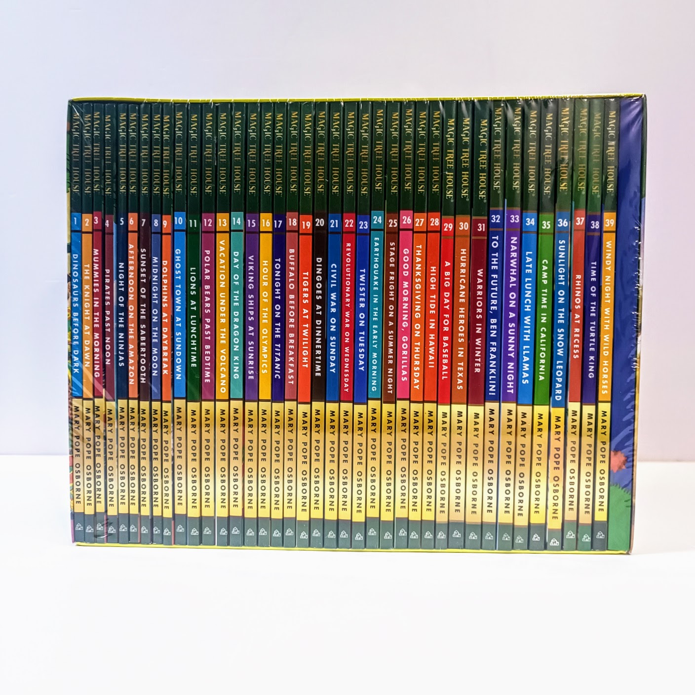 Magic Tree House 1-39   神奇樹屋第一季       英文版繪本帶練習冊   B156