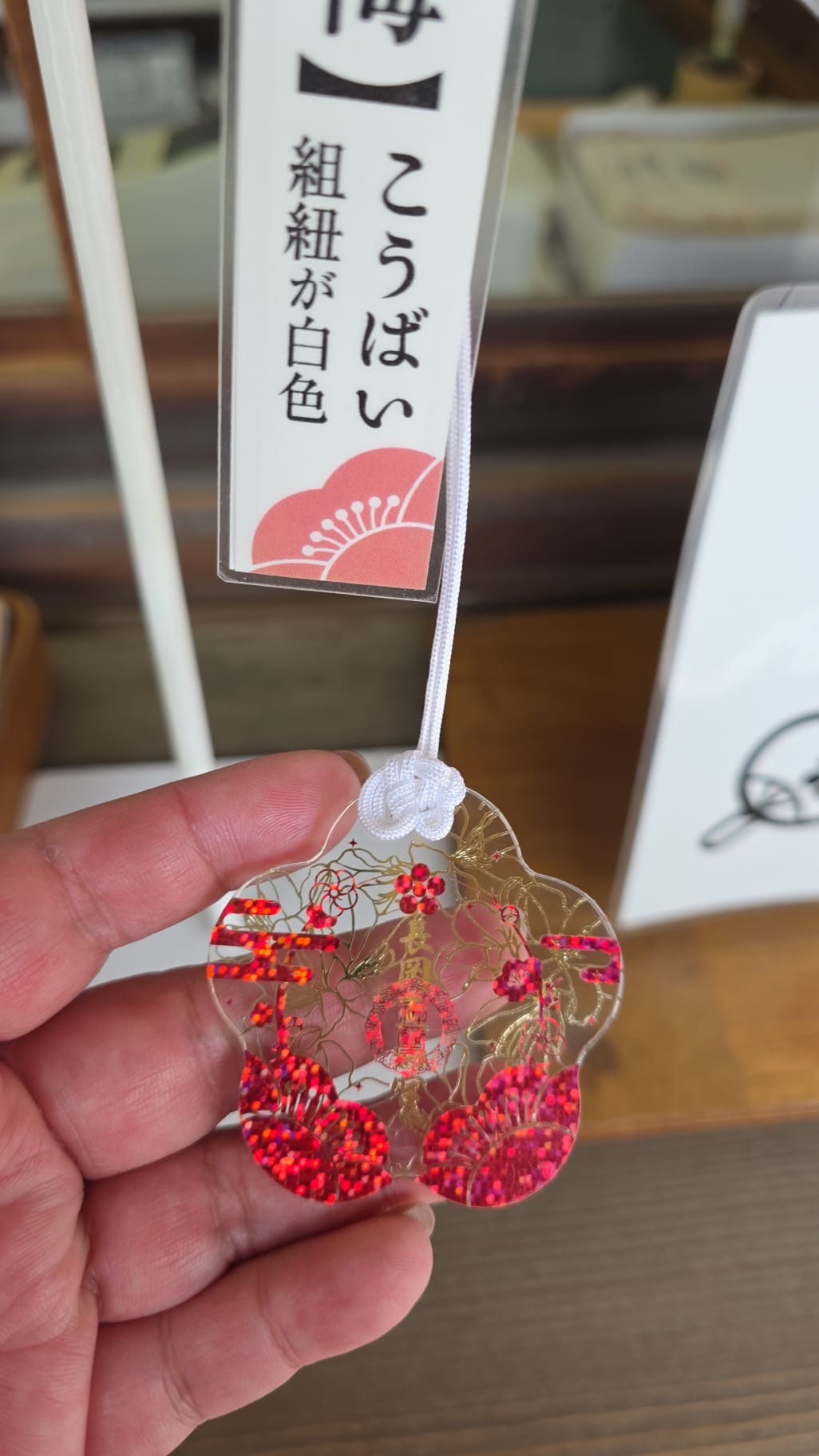 長岡天滿宮 紅梅