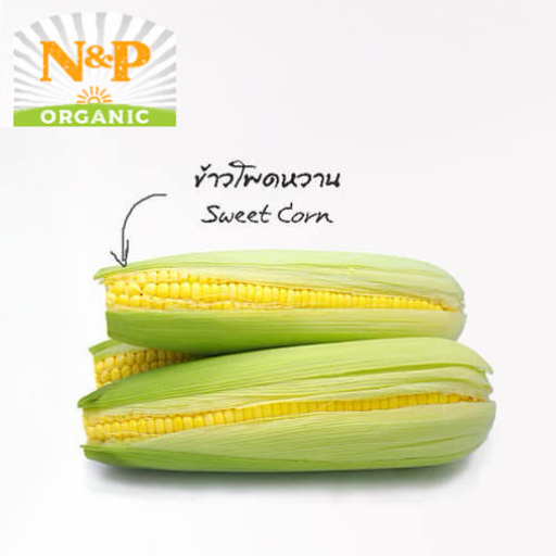 💧泰國 有機粟米Thailand N&P Organic Sweet Corn
