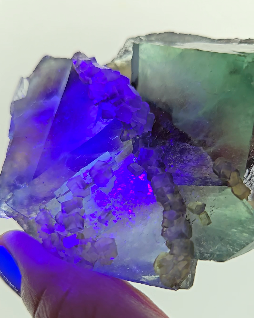 Red phantom fluorite with columnar calcite - FL227