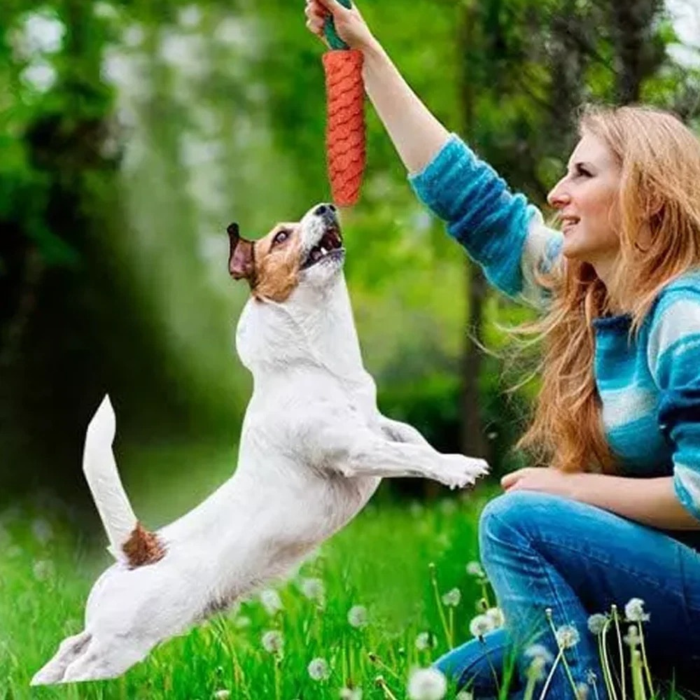 狗狗咬繩磨牙玩具 10件套 顏色款式隨機 UB0257