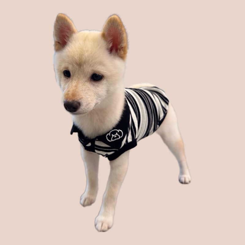 S650   黑白條紋T恤 Black and white striped T-shirt