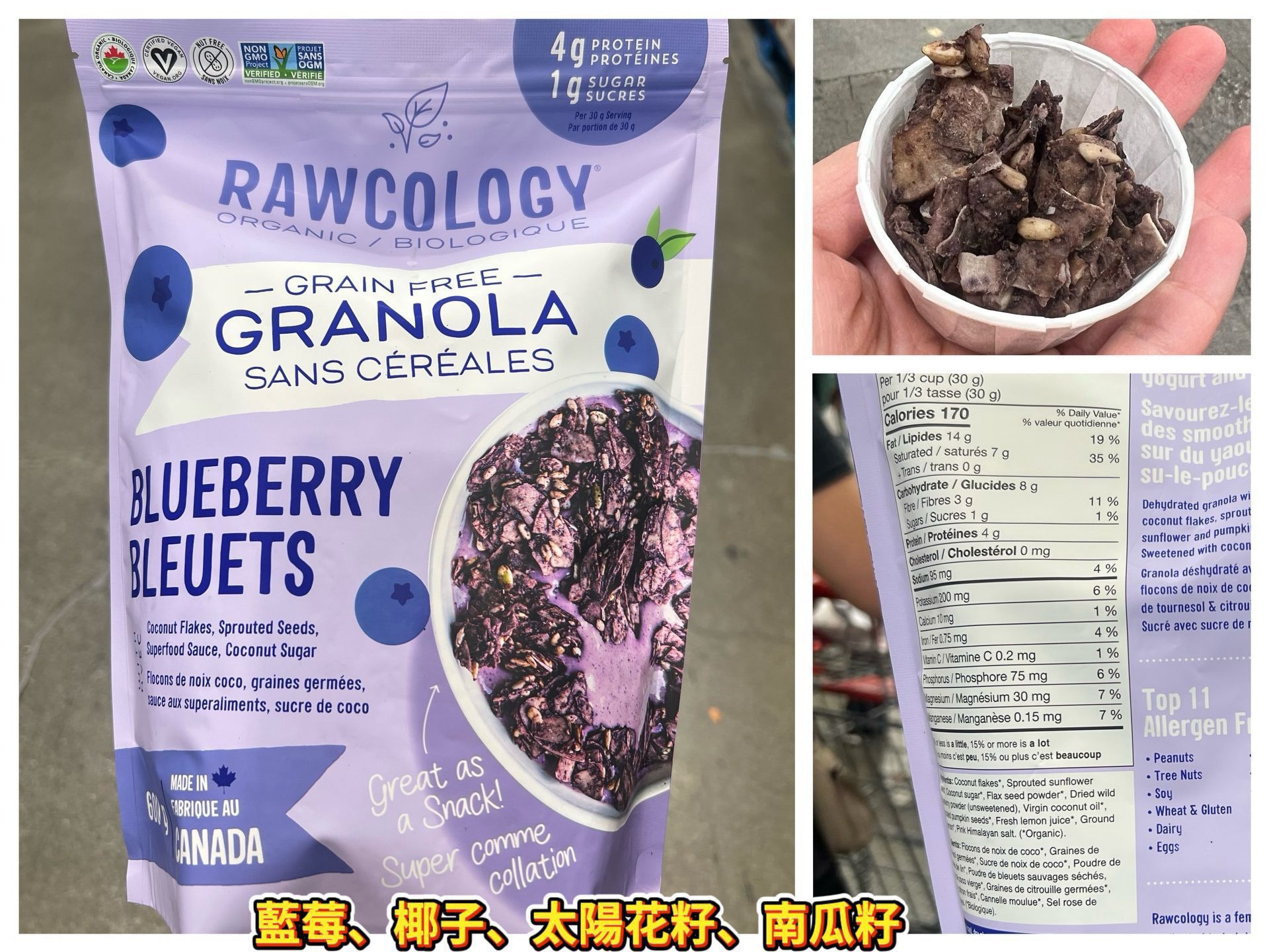 Rawcology 藍莓椰子南瓜籽脆脆 600g | 加拿大有機健康零食