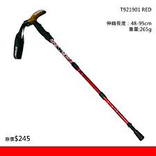 VR Traveler Trekking Pole T921901