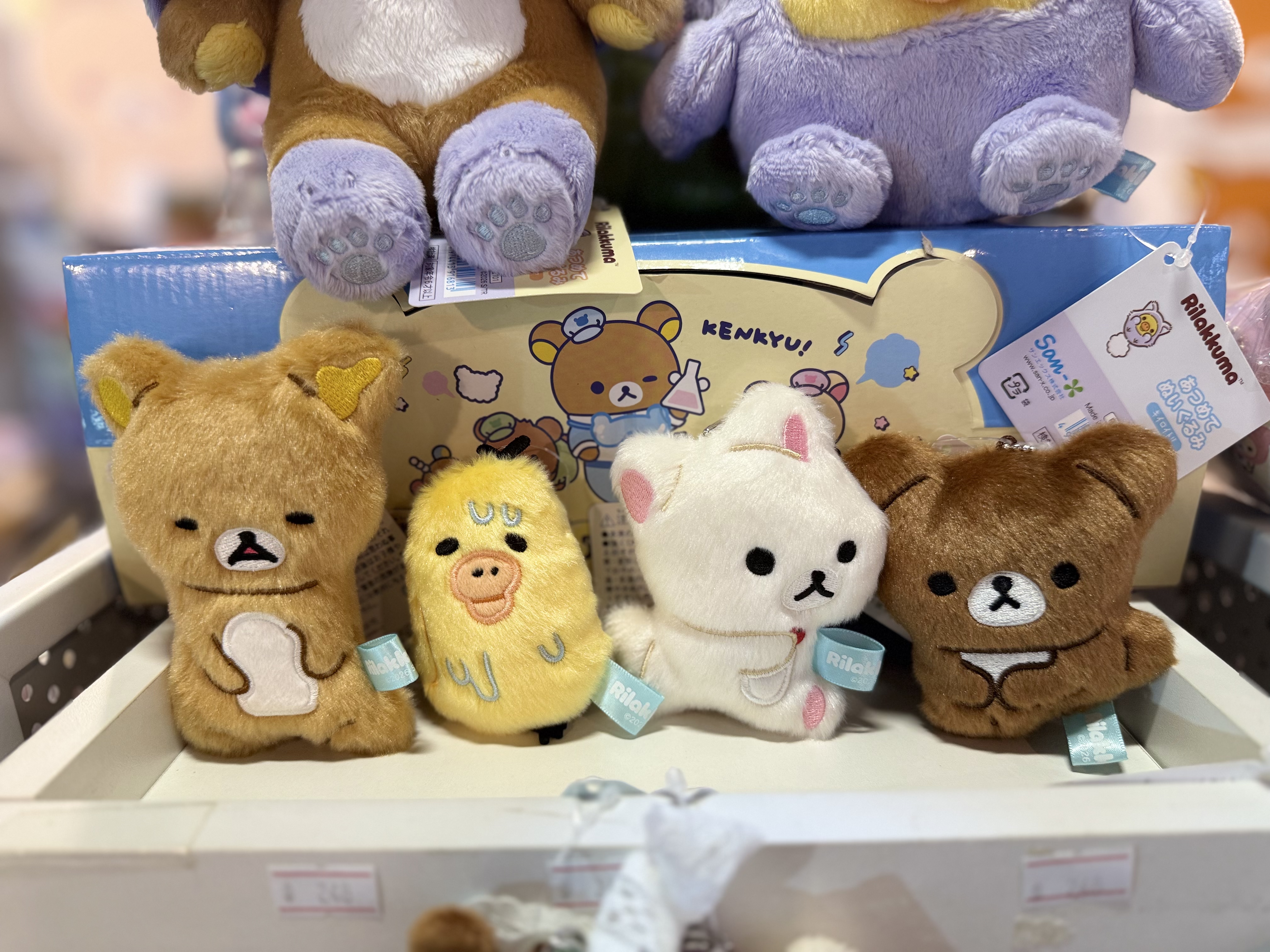 《現貨》全新Rilakkuma瓦瓦貓系列掛飾
