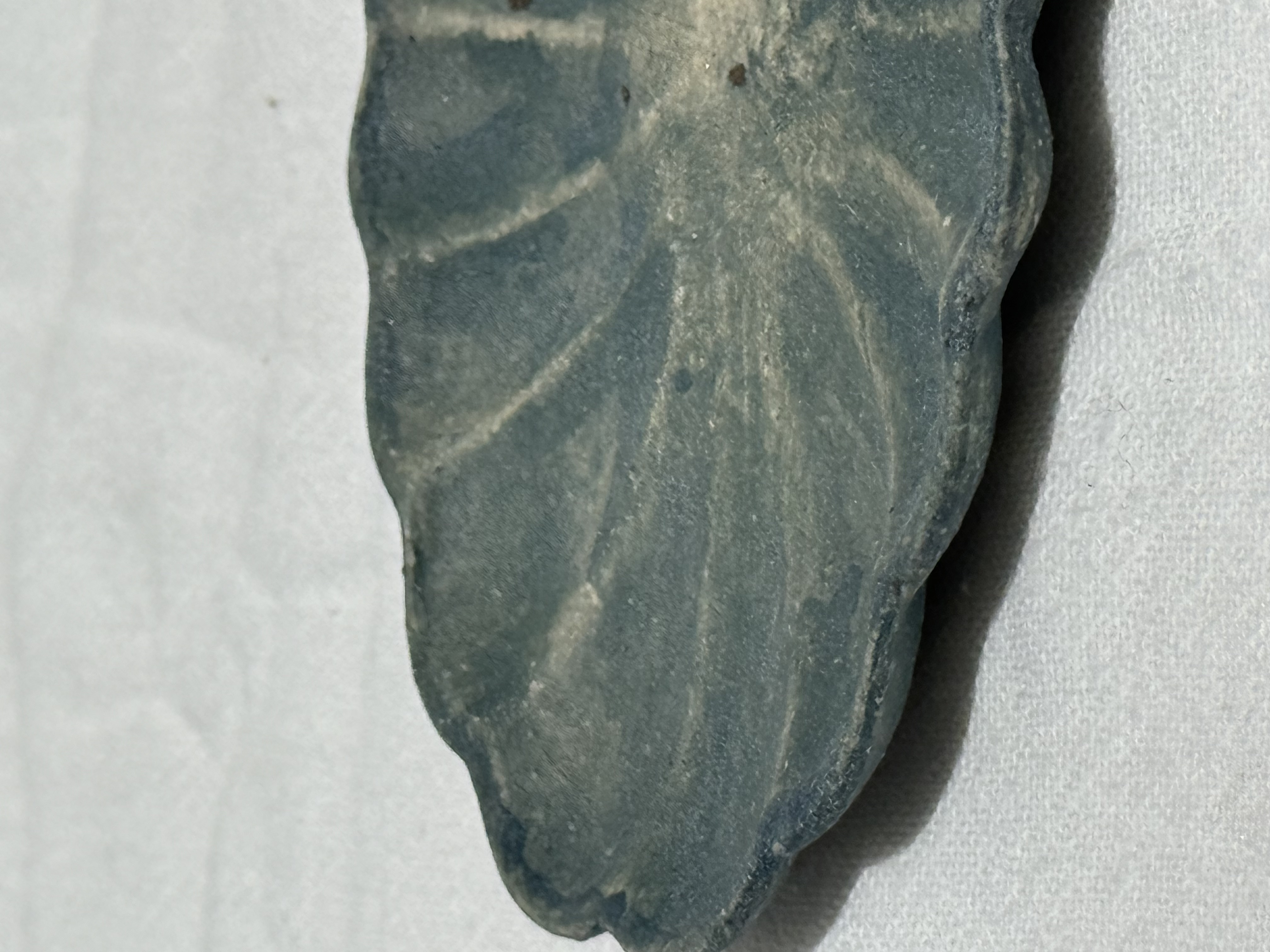 水谷智美 小料碟 花瓣 橢圓